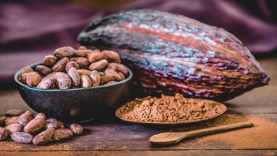 Indonesian cocoa beans, cocoa powder, and whole cacao pod — showcasing the finest cocoa exports and artisan chocolate ingredients from Indonesia.