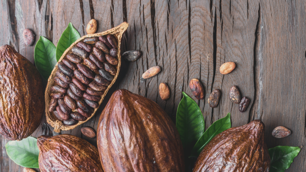 Health Benefits of Cocoa: Nature’s Superfood from Indonesia
