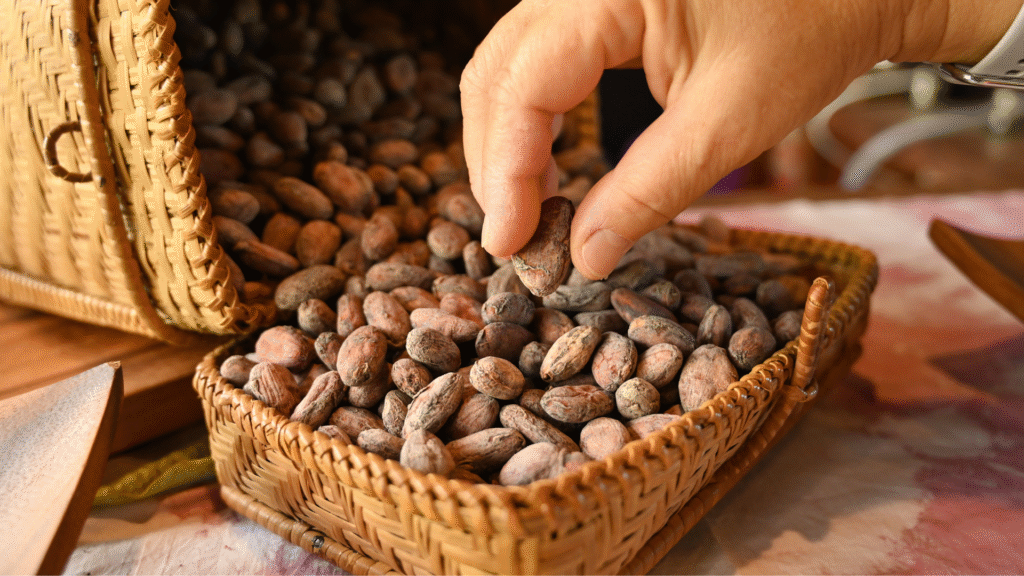 Global Cocoa Powder Market Overview 2025: Production, Consumption, and Key Growth Drivers